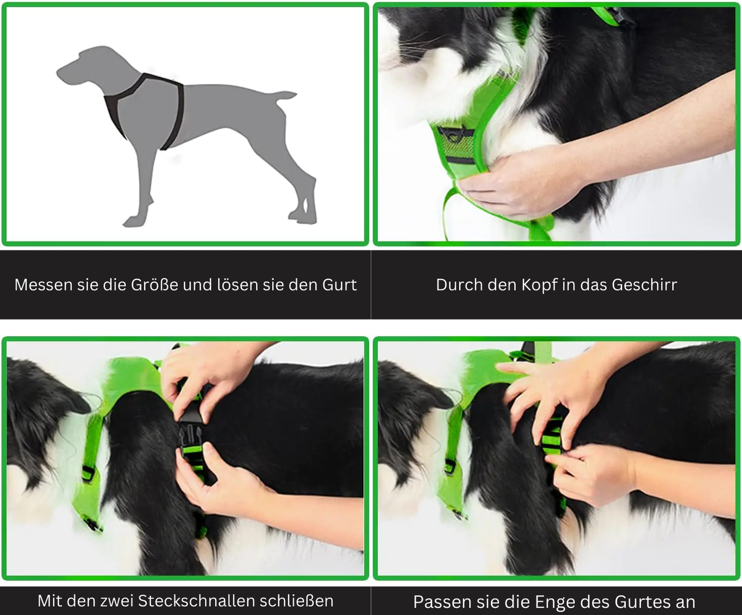 All-in-One Hundegschirr