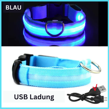 GlowWau-LED leuchtendes verstellbares Hundehalsband