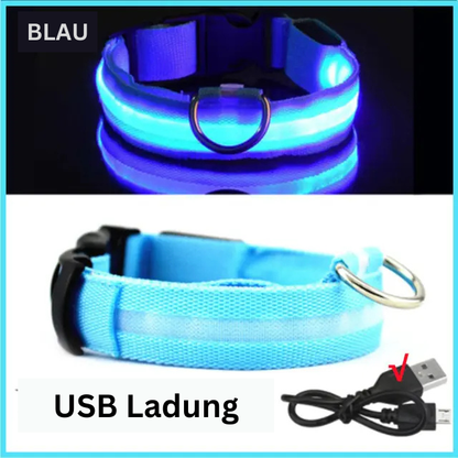 GlowWau-LED leuchtendes verstellbares Hundehalsband