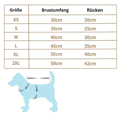 BärchenPulli-Kollektion