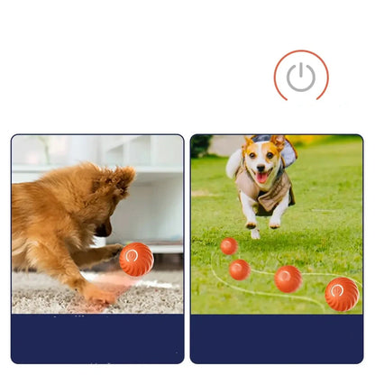 Smart-Spielzeugball für Hunde