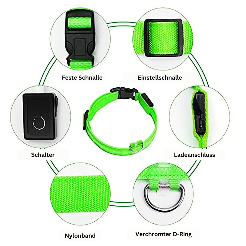 GlowWau-LED leuchtendes verstellbares Hundehalsband