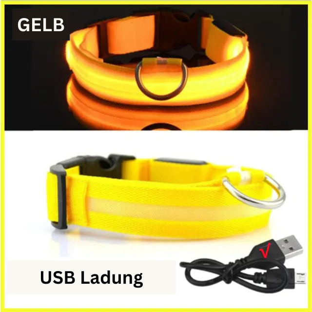 GlowWau-LED leuchtendes verstellbares Hundehalsband