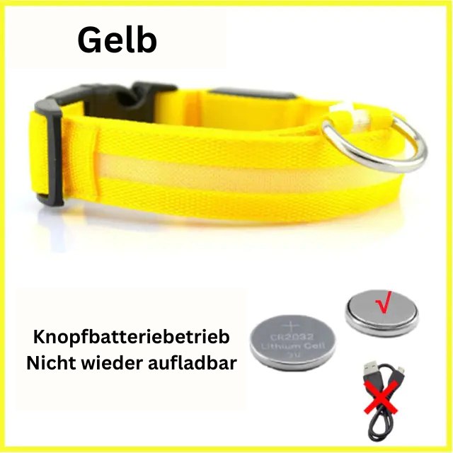 GlowWau-LED leuchtendes verstellbares Hundehalsband