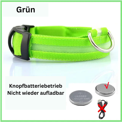 GlowWau-LED leuchtendes verstellbares Hundehalsband