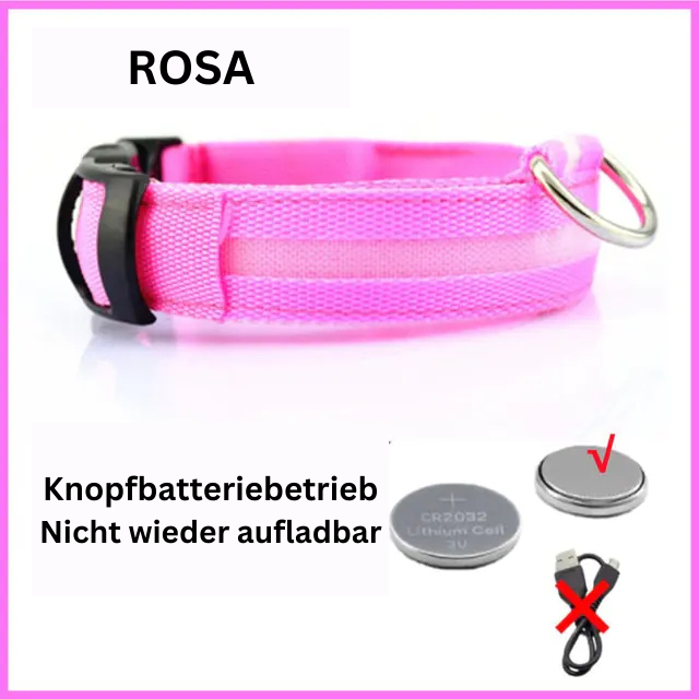 GlowWau-LED leuchtendes verstellbares Hundehalsband