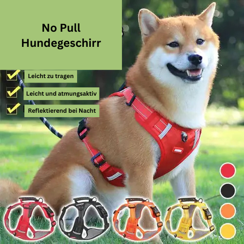 ZugStopp-Hundegeschirr