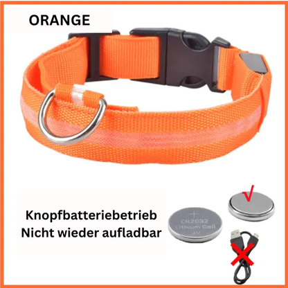 GlowWau-LED leuchtendes verstellbares Hundehalsband