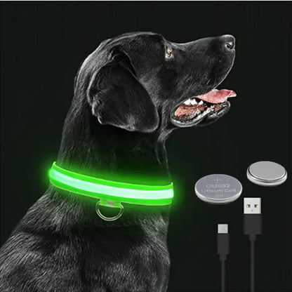 GlowWau-LED leuchtendes verstellbares Hundehalsband