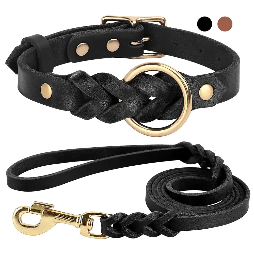 Hunde-Halsband und Leinen-Set