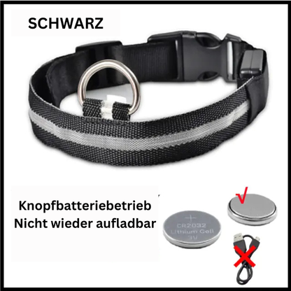 GlowWau-LED leuchtendes verstellbares Hundehalsband