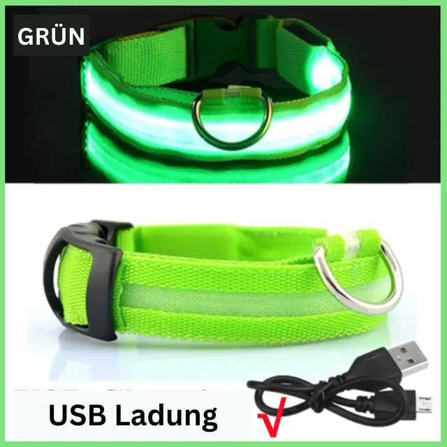 GlowWau-LED leuchtendes verstellbares Hundehalsband