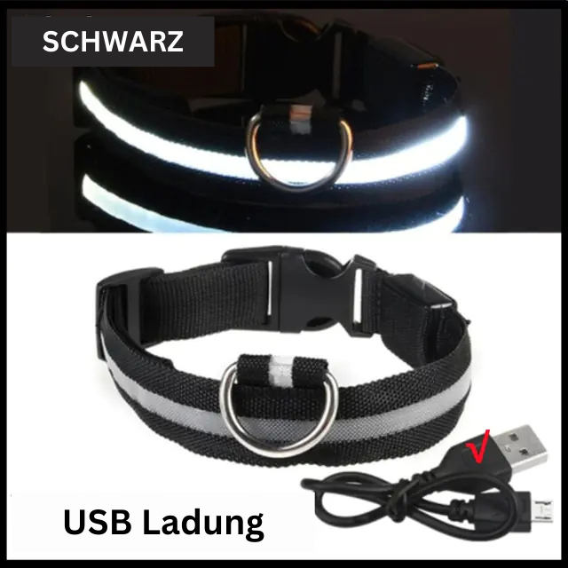 GlowWau-LED leuchtendes verstellbares Hundehalsband