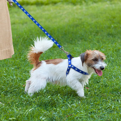 PfötchenParade-Geschirr für kleine Hunde