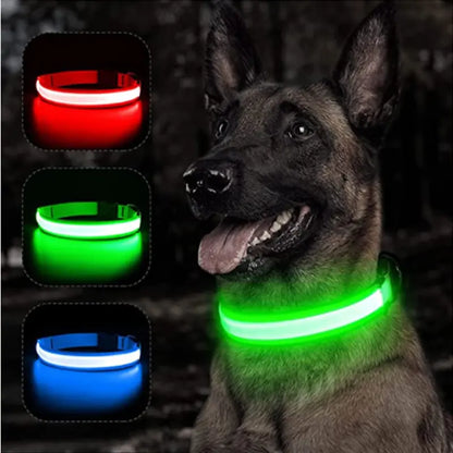 GlowWau-LED leuchtendes verstellbares Hundehalsband