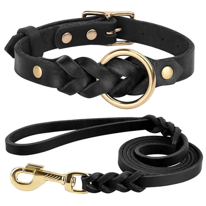 Hunde-Halsband und Leinen-Set