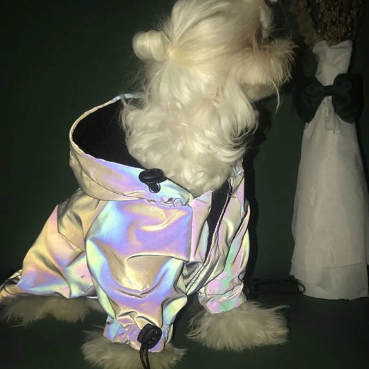 ReflexGlanz Hunde-Hoodie