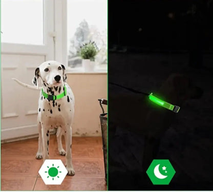 GlowWau-LED leuchtendes verstellbares Hundehalsband