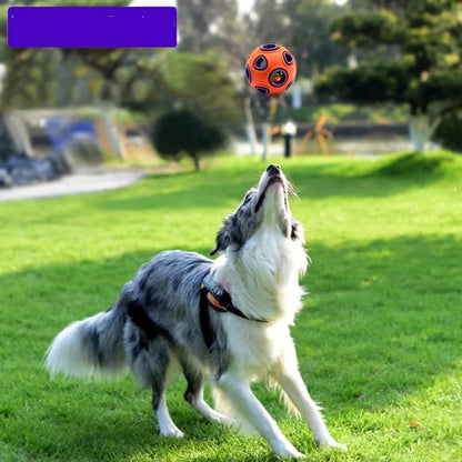 Elastischer Gummiball für Hunde