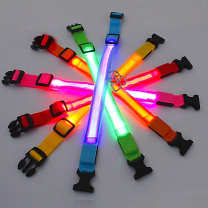 GlowWau-LED leuchtendes verstellbares Hundehalsband